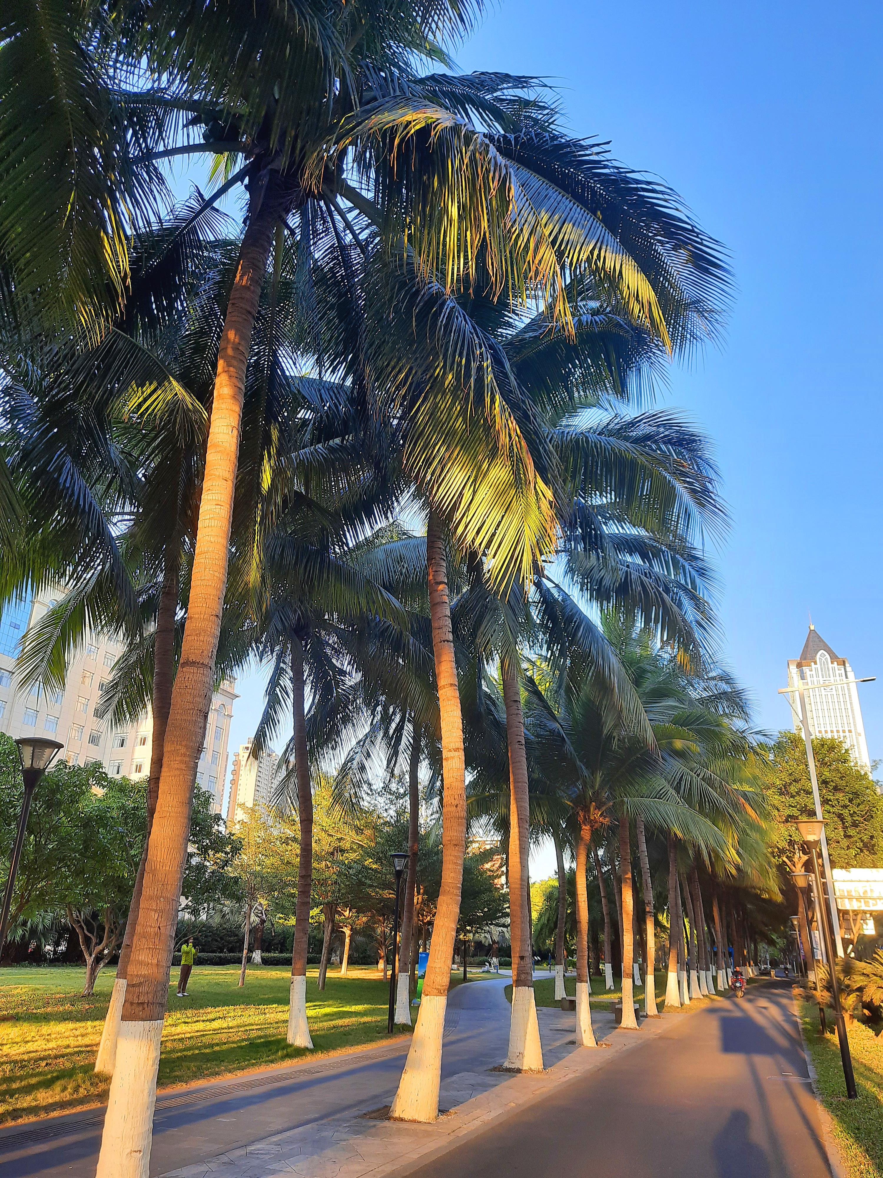 海南小巷美食探秘,独特风味宝藏大揭秘