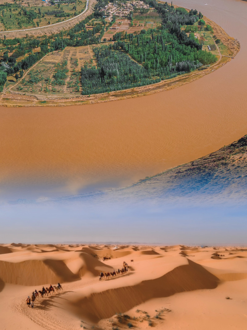 宁夏小巷深处的独特风情与隐藏特色小店探秘